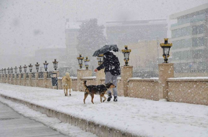 Ordu’da Kar Manzaraları