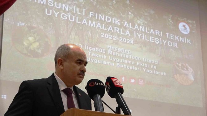 Samsun’da Fındıkta Verim Artırılacak