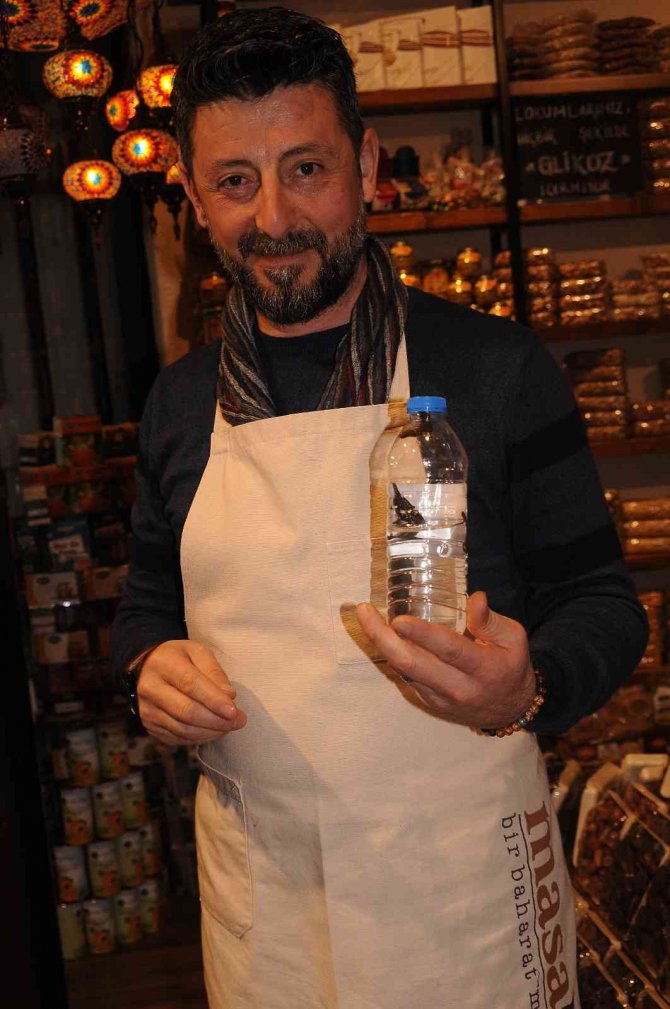 Almanya’ya İhracat, Tıbbı Sülük Fiyatlarını Arttırdı