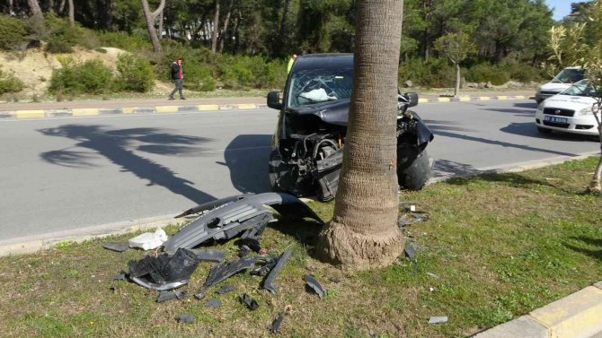 Kontrolden Çıkan Ticari Araç Palmiyeye Çarptı: 2 Yaralı
