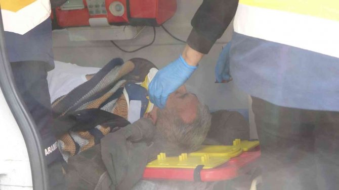 Kontrolden Çıkan Ticari Araç Palmiyeye Çarptı: 2 Yaralı