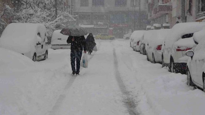 Baharı Bekleyen Bingöl Kara Kışa Teslim Oldu