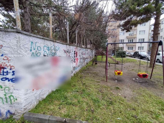 Ne Yapsalar Çare Olmuyor