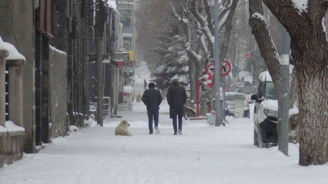 Kars’ta Kar Ve Tipi Hayatı Olumsuz Etkiliyor