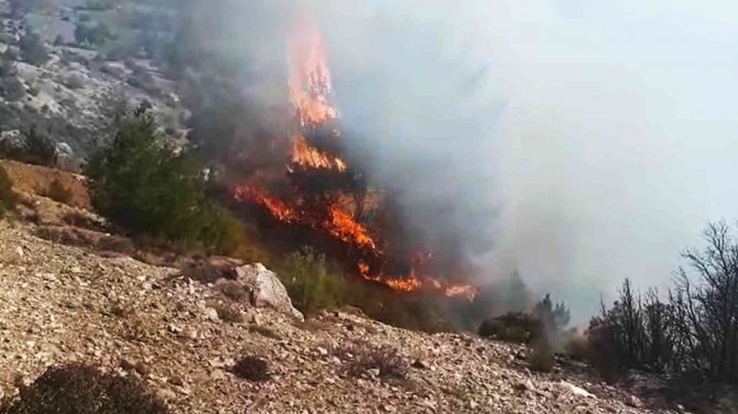 Seydikemer’de Orman Yangını