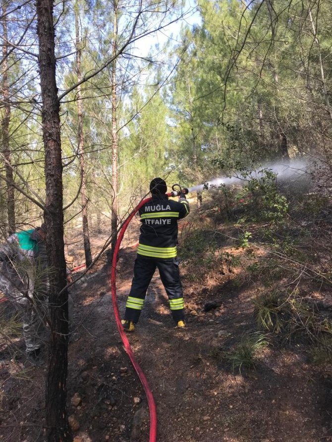 Seydikemer’de Orman Yangını