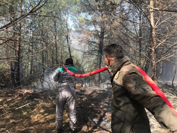 Seydikemer’de Orman Yangını