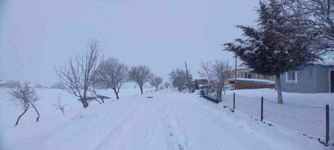 Tunceli’de 250 Köy Yolu Ulaşıma Kapandı