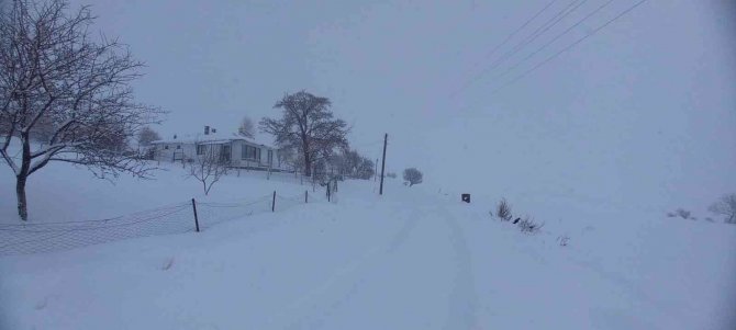 Tunceli’de 250 Köy Yolu Ulaşıma Kapandı