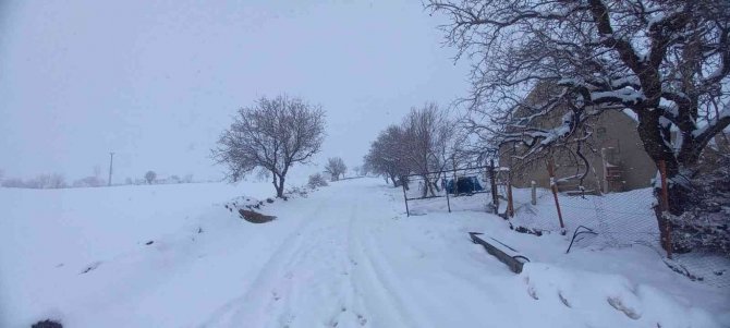 Tunceli’de 250 Köy Yolu Ulaşıma Kapandı