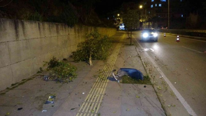 Manavgat’ta Alkollü Sürücü Otomobiliyle Refüje Çıktı: 2 Yaralı