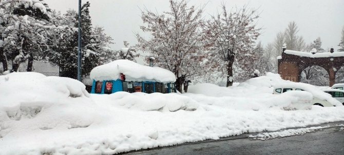 Bitlis’te 248 Köy Yolu Ulaşıma Kapandı