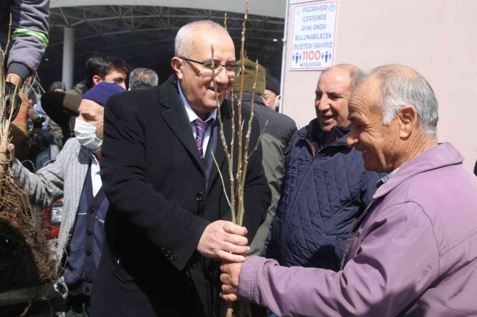 Vatandaşlara 9 Bin Adet Aşılı Ceviz Fidanı Dağıtıldı