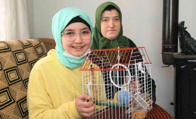 Belediyeden Muhabbet Kuşu İstedi