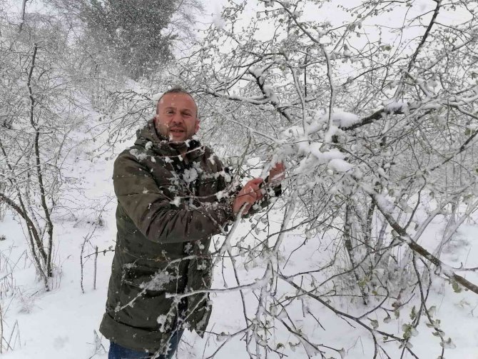 Kar Yağışı Fındık Fiyatlarını Yükseltti
