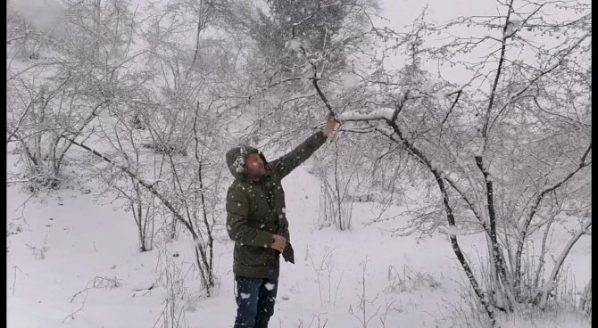 Kar Yağışı Fındık Fiyatlarını Yükseltti