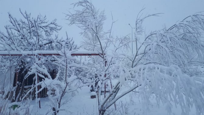 Tuzluca’da Kar Yağışı Etkili Oluyor