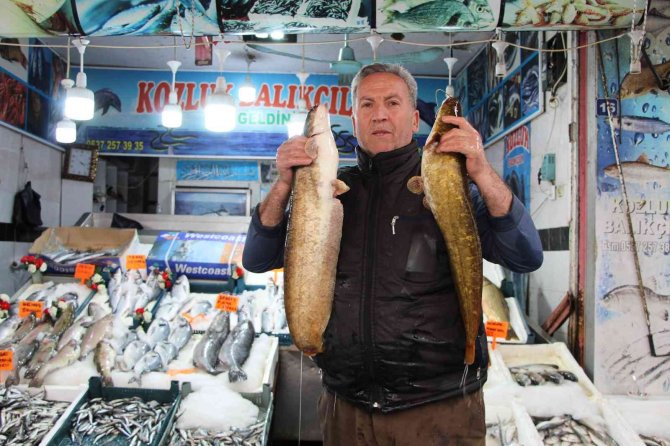 Kar Yağışlarıyla Birlikte Balık Tezgahlarında Hareketlilik