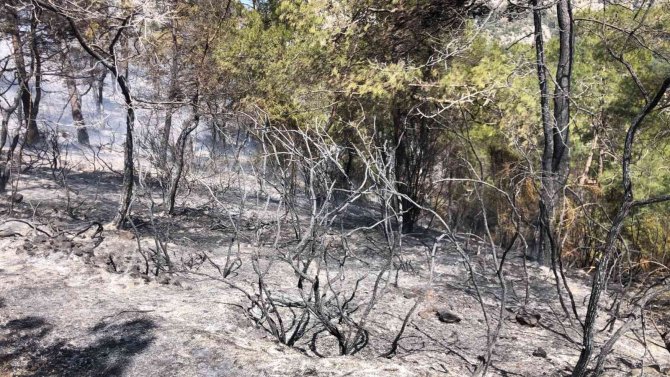 Fethiye’deki Yangın Kısmen Kontrol Altına Alındı