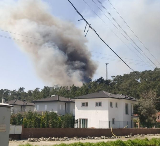 Fethiye’de Orman Yangını