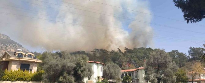 Fethiye’de Orman Yangını