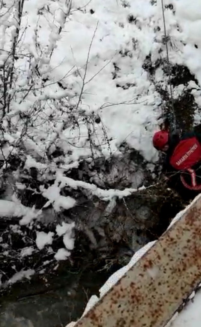 İ̇tfaiye Erleri Derede Mahsur Kalan Baykuş İçin Seferber Oldu