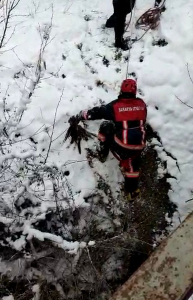 İ̇tfaiye Erleri Derede Mahsur Kalan Baykuş İçin Seferber Oldu