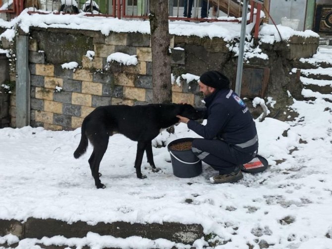 Karda Kışta Unutulmadılar