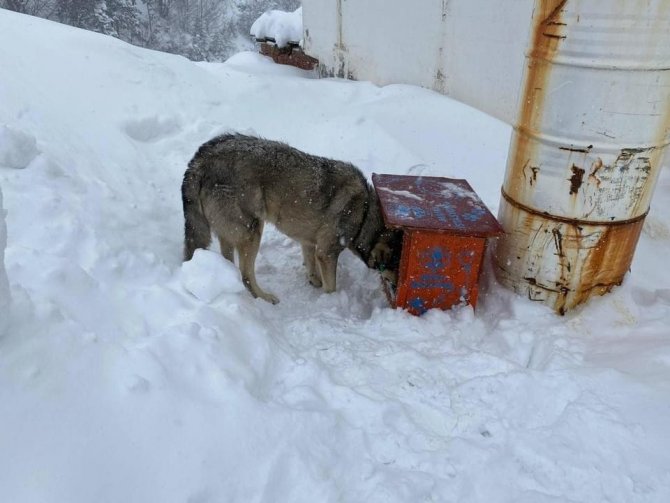 Karda Kışta Unutulmadılar