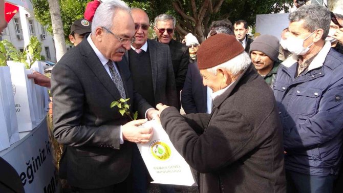 Manavgat’ta 10 Bin 500 Fidan Dağıtıldı