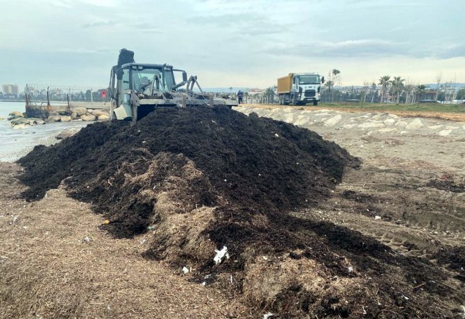 Millet Bahçesi Sahiline Vuran Atıklar Toplandı