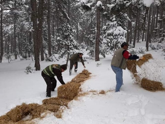 Balıkesir’de Yaban Ve Av Hayvanları İçin Doğaya Yem Bırakıldı