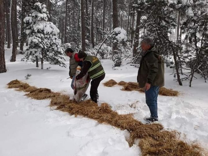 Balıkesir’de Yaban Ve Av Hayvanları İçin Doğaya Yem Bırakıldı