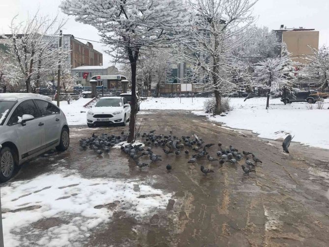 Iğdır Nevruz’a Kar İle Uyandı