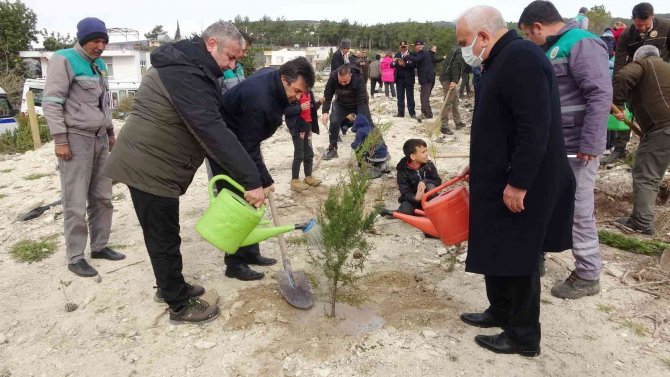 Mersin’de 35 Hektar Alana 45 Bin Fidan Dikildi