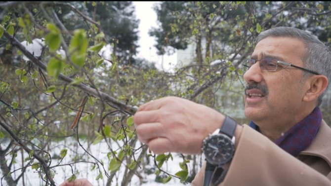 Fi̇skobi̇rli̇k Başkanı Bayraktar Fındıkta Zirai Don Riskine Dikkat Çekti