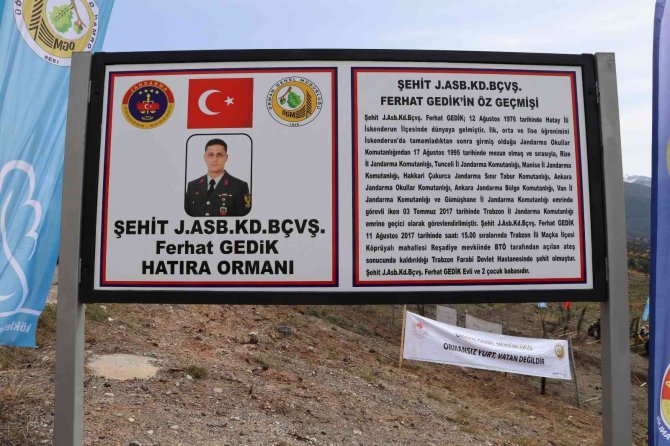 Vali Doğan: ”Yanan Alanların 3 Katı Kadar Ormanlarımız Fidanla Buluşturuldu”