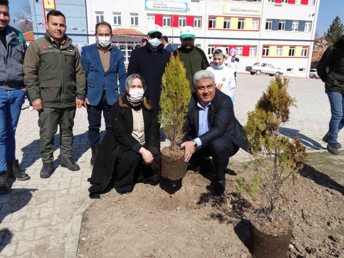 Hisarcık’ta Orman Haftası Etkinlikleri
