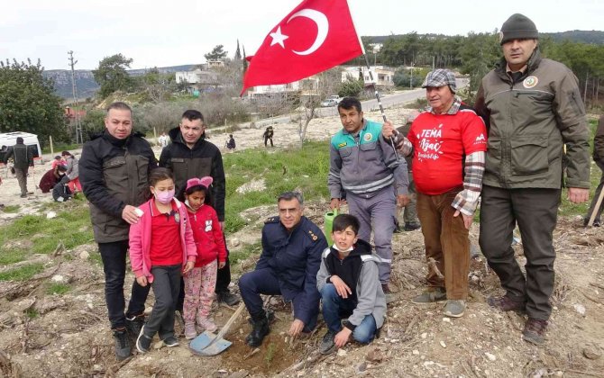 Mersin’de 35 Hektar Alana 45 Bin Fidan Dikildi