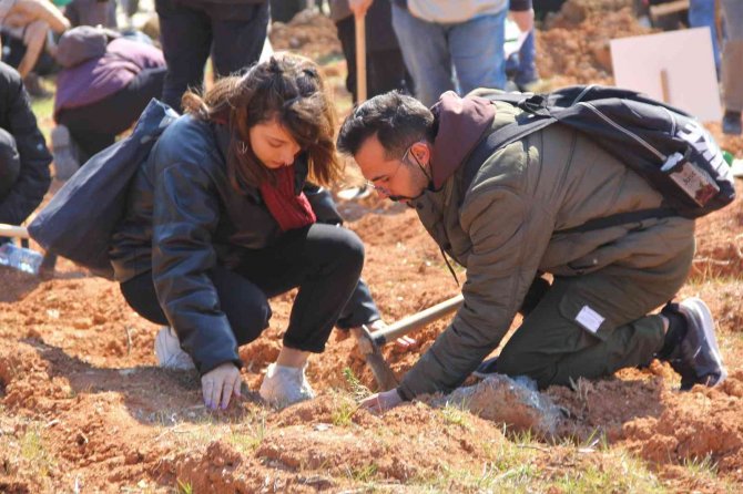 İ̇zmir’de 6 Bin 35 Adet Fidan Toprakla Buluştu