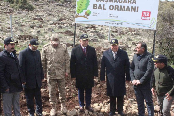 Kilis’te Bal Ormanı Oluşturuluyor