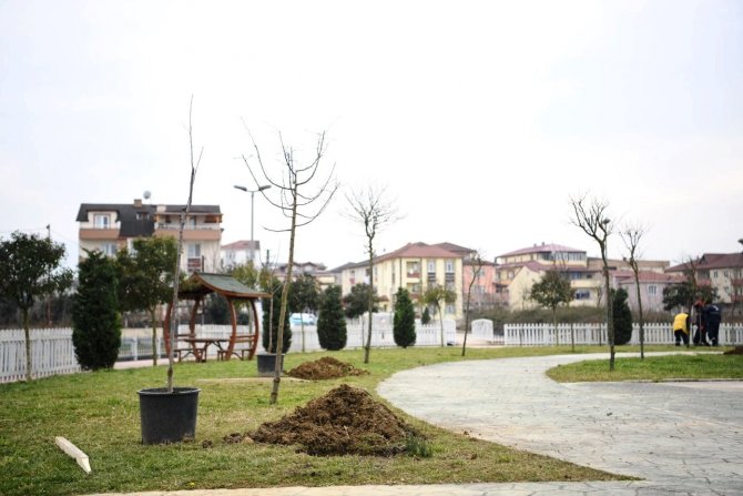 Herkes Dalından Yesin Diye Yüzlerce Kiraz Ve Vişne Ekildi