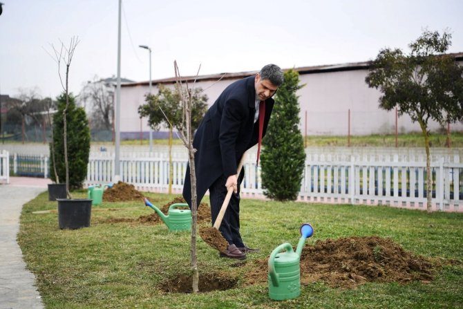 Herkes Dalından Yesin Diye Yüzlerce Kiraz Ve Vişne Ekildi