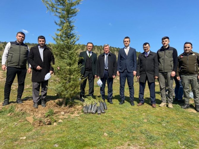Alaşehir’de 500 Adet Fidan Dikildi