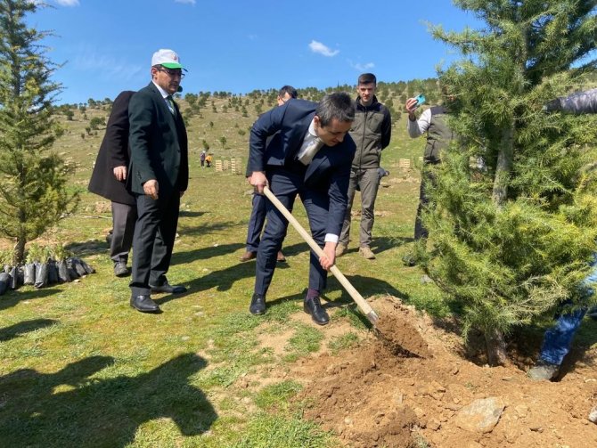 Alaşehir’de 500 Adet Fidan Dikildi
