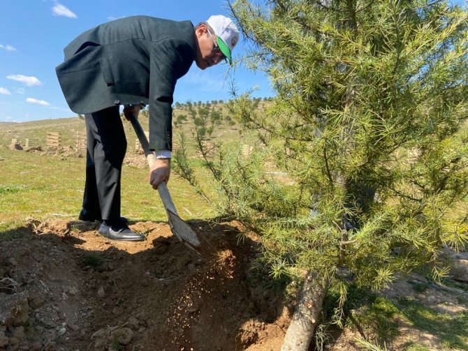 Alaşehir’de 500 Adet Fidan Dikildi