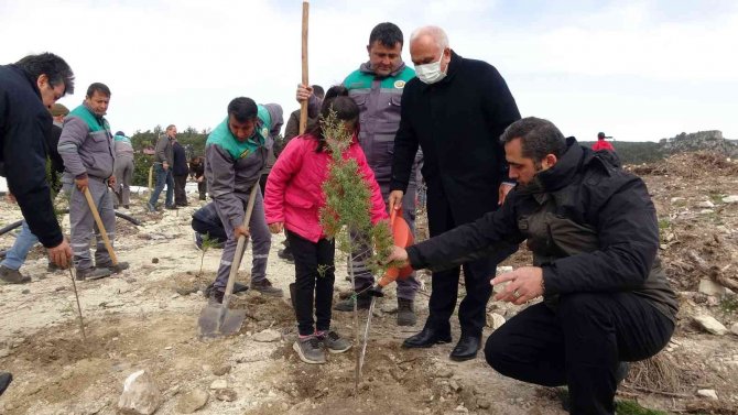 Mersin’de 35 Hektar Alana 45 Bin Fidan Dikildi