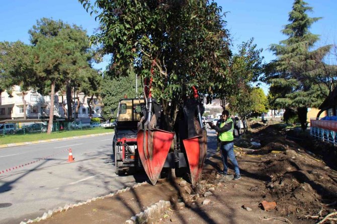Ordu Büyükşehir Ağaç Sökme Ve Dikme Makinesini Kendi İmal Etti
