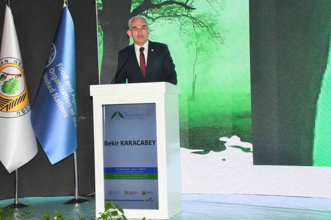 Orman Genel Müdürü Bekir Karacabey: "Türkiye Dünyada En Fazla Ağaçlandırma Yapan Ülkelerden Biri"