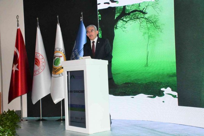 Orman Genel Müdürü Bekir Karacabey: "Türkiye Dünyada En Fazla Ağaçlandırma Yapan Ülkelerden Biri"